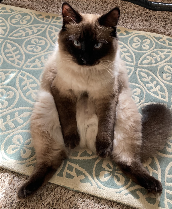 /Images/uploads/Four Footed Friends/FourFootedFriends/entries/18308thumb.jpg